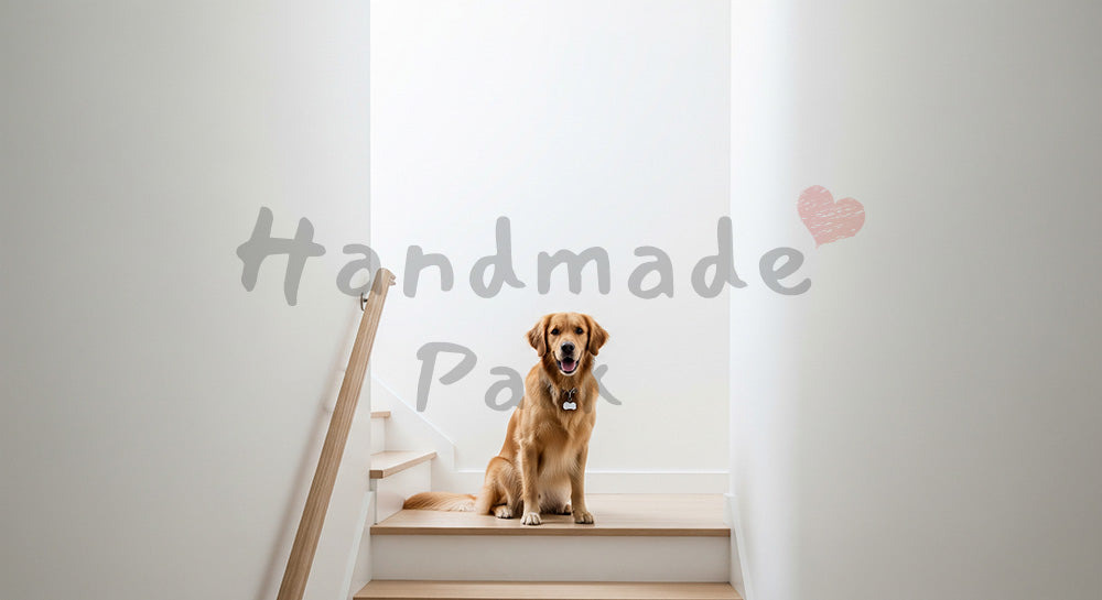 フリー素材 無料 写真｜ミニマルな階段と犬の暮らし背景｜ブログのアイキャッチ向き