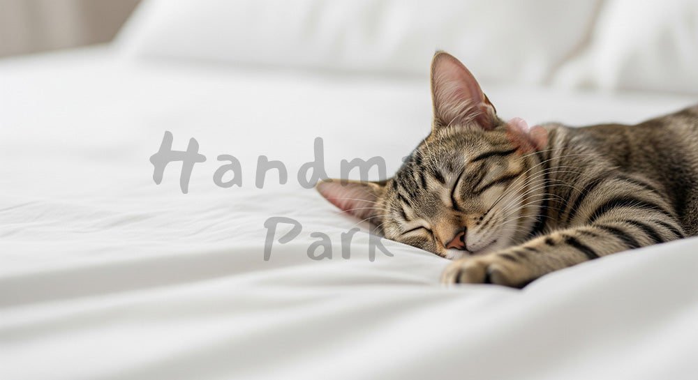 フリー素材 無料 写真｜ペットライフスタイルがある白い寝具で眠る猫のハイキー背景｜広告クリエイティブに使いやすい