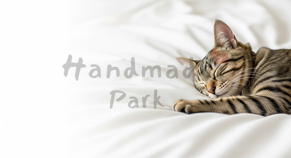 フリー素材 無料 写真｜白い寝具で眠る猫のハイキー背景｜LPのヘッダー画像に ロゴ・文字なし