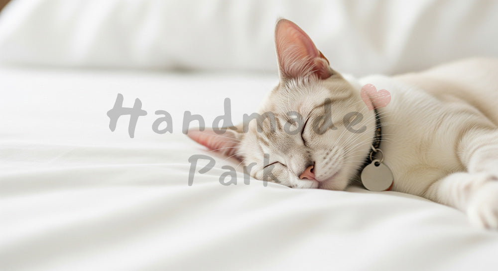 フリー素材 無料 写真｜白い寝具で眠る猫のハイキー背景、EC商品ページの挿絵に