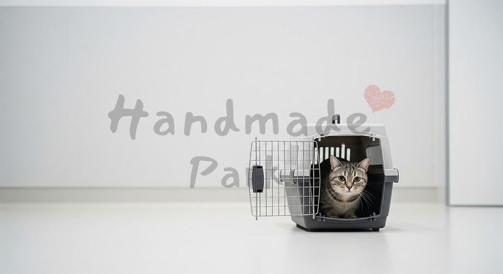 フリー素材 無料 写真｜動物病院の猫｜SNS投稿の背景におすすめ ロゴ・文字なし