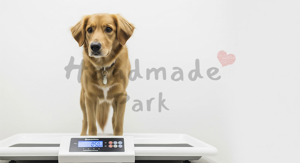 フリー素材 無料 写真｜動物病院の体重測定をする犬｜トップページのビジュアルに ロゴ・文字なし