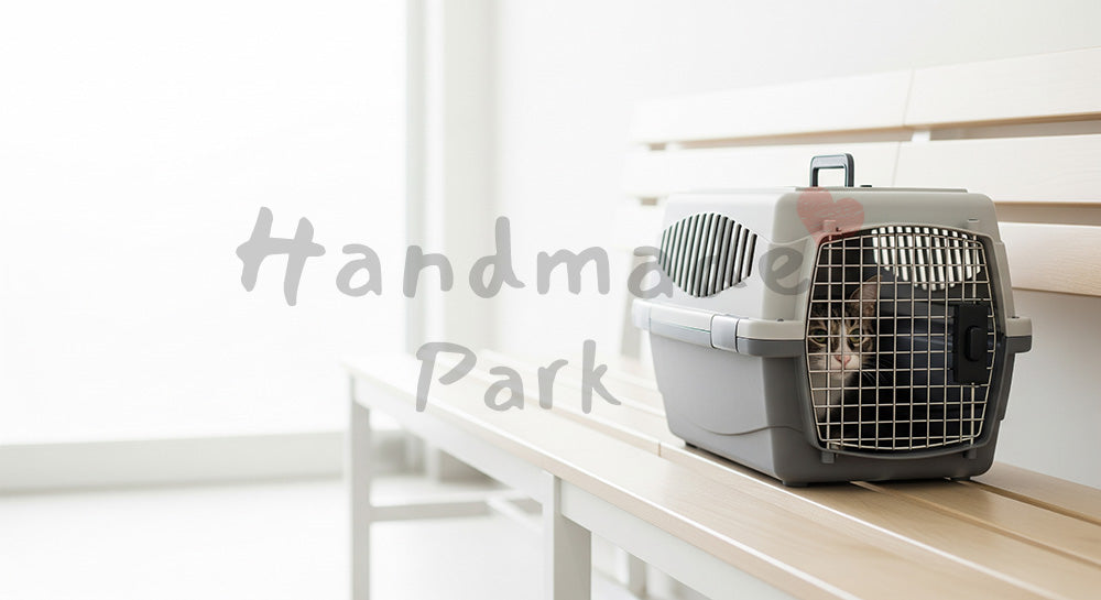 フリー素材 無料 写真｜やわらかな自然光の窓辺で日向ぼっこする猫のハイキー背景｜明るいトーンで使える