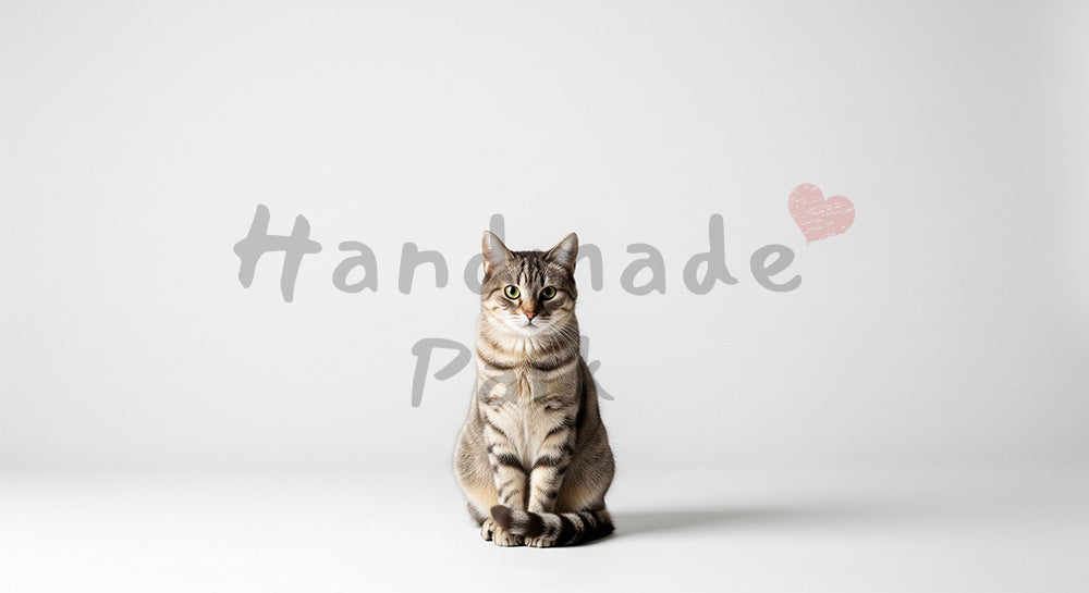フリー素材 無料 写真｜キャンペーンがある白背景で座る猫｜LPのヘッダー画像に
