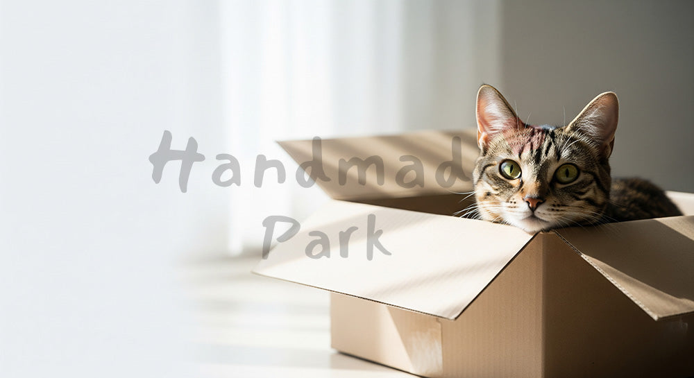 フリー素材 無料 写真｜やわらかな自然光の段ボール箱に入る猫｜バナー背景に合わせやすい