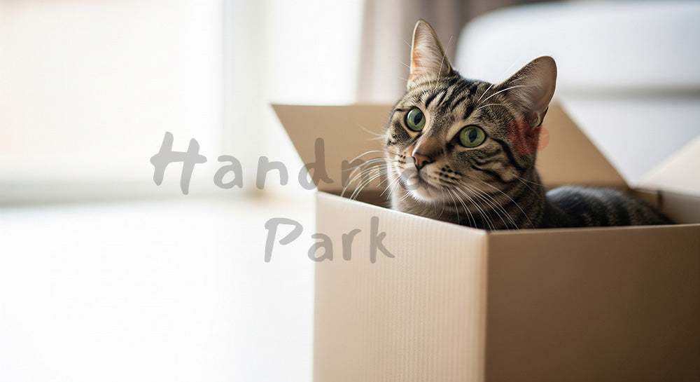 フリー素材 無料 写真｜段ボール箱に入る猫｜ペットサービスを添えたLPのヘッダー画像に