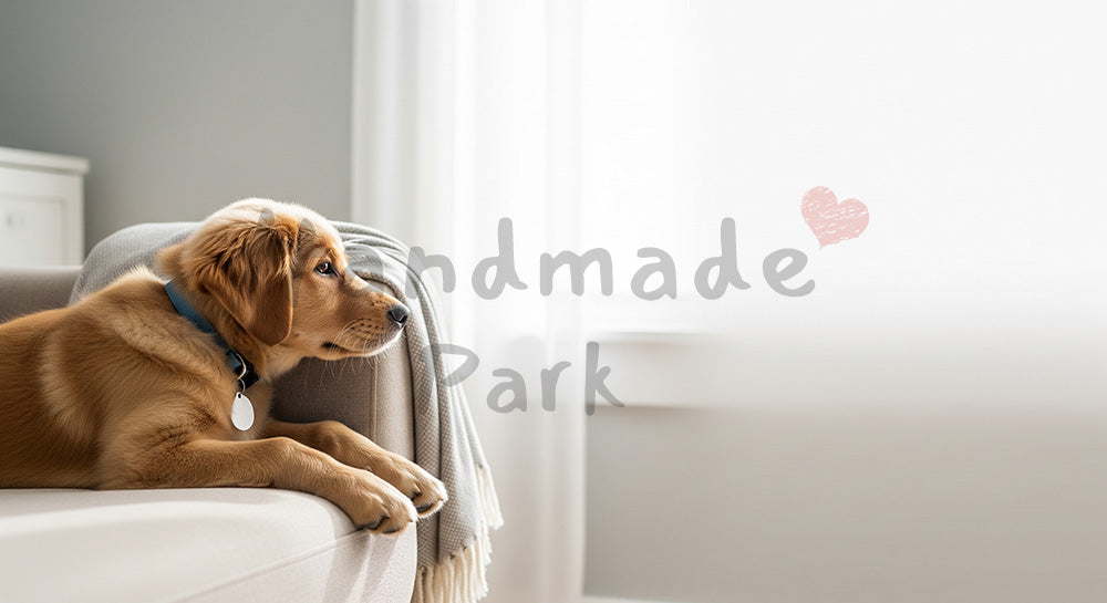 フリー素材 無料 写真｜子犬がソファでくつろぐ明るい室内シーン 右側に余白の横長背景｜資料スライドの背景に便利 ロゴ・文字なし