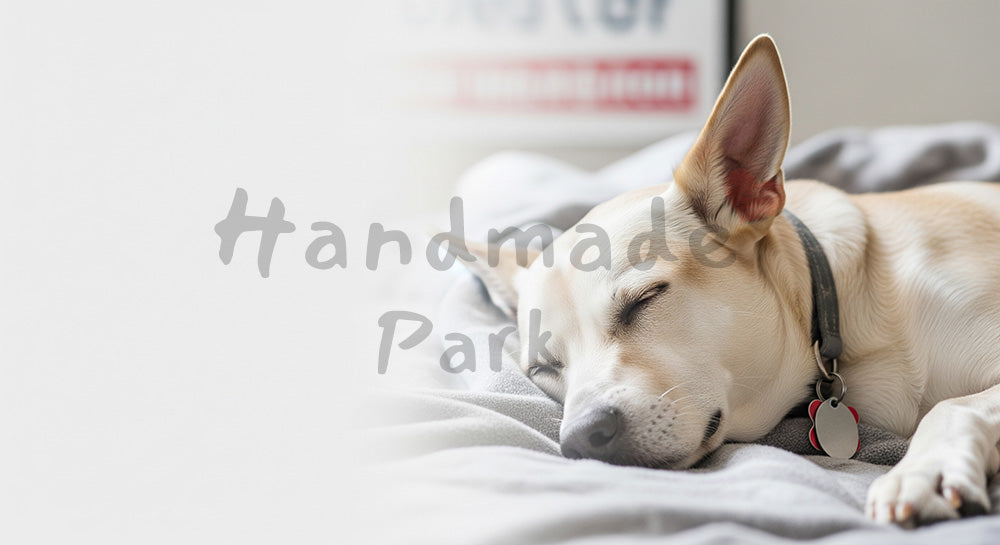 フリー素材 無料 写真｜LPのヘッダー画像にに使えるブランケットで眠る犬のやさしい室内カット 中央に余白の背景素材