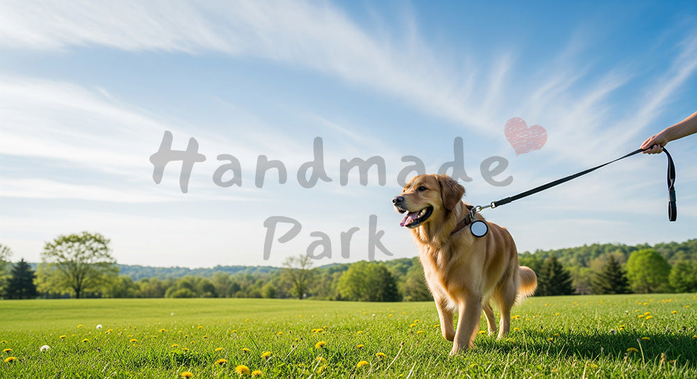 フリー素材 無料 写真｜公園で散歩する犬と飼い主の足元 青空と芝生で余白がある横長写真、チラシ・ポスターにも活躍