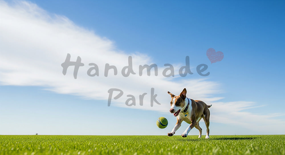 フリー素材 無料 写真｜芝生でボール遊びする犬 動きのある瞬間と空の余白がある写真｜落ち着いたトーンの背景に