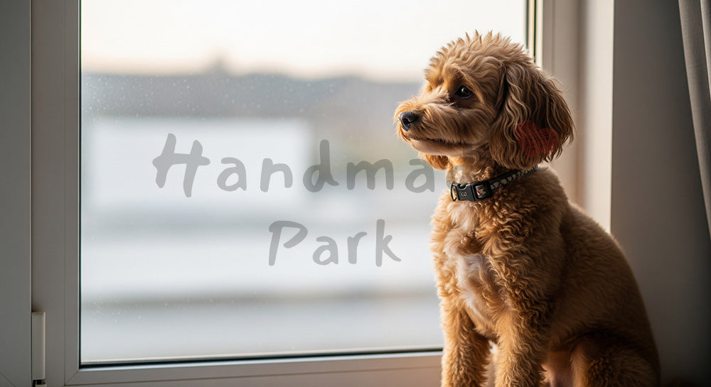フリー素材 無料 写真｜生活系デザインがある犬のフリー素材｜バナー背景に合わせやすい