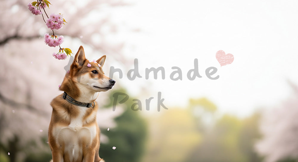 フリー素材 無料 写真｜キャンペーンがある犬のフリー素材｜広告クリエイティブに使いやすい