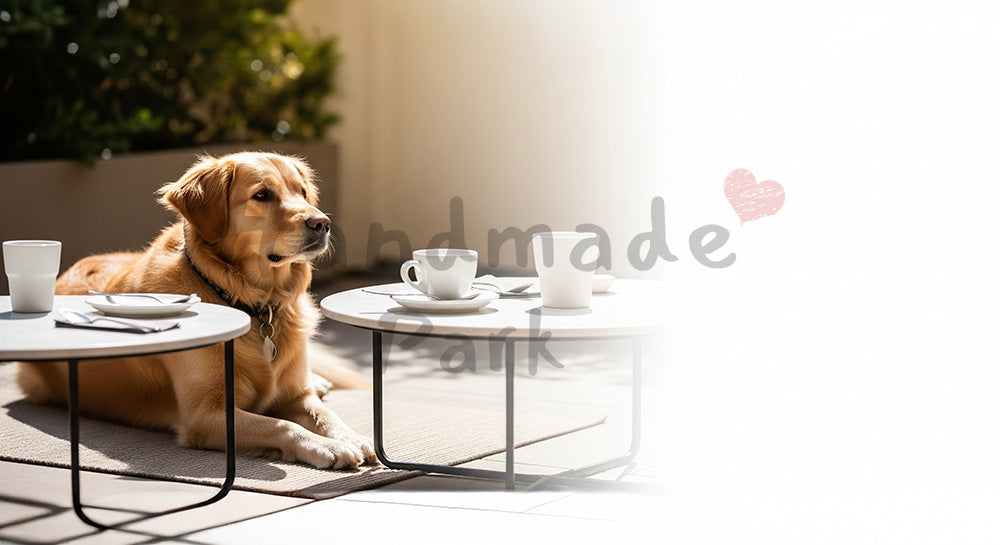 フリー素材 無料 写真｜やわらかな自然光の犬のフリー素材｜LPのヘッダー画像に
