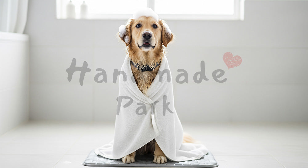 フリー素材 無料 写真｜犬のフリー素材｜LPのヘッダー画像に