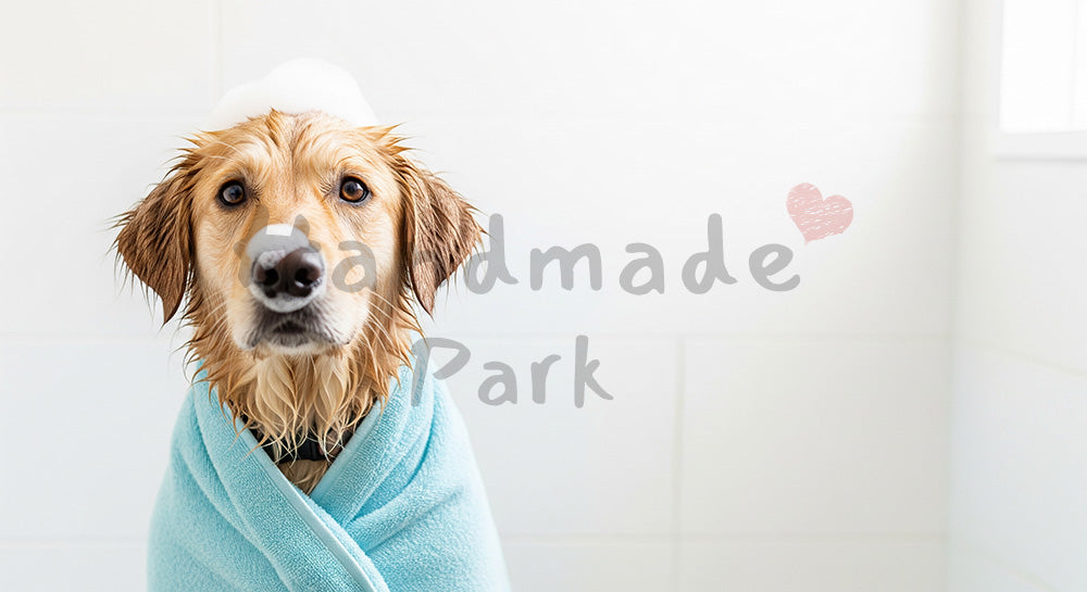 フリー素材 無料 写真｜犬のフリー素材、サービス紹介ページに使える
