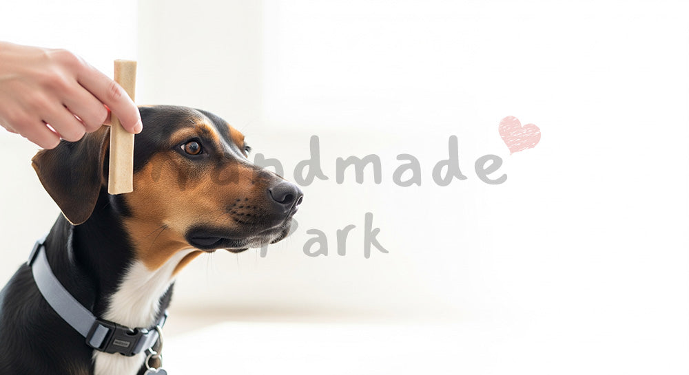 フリー素材 無料 写真｜教育・教材の挿絵にに使える犬のフリー素材