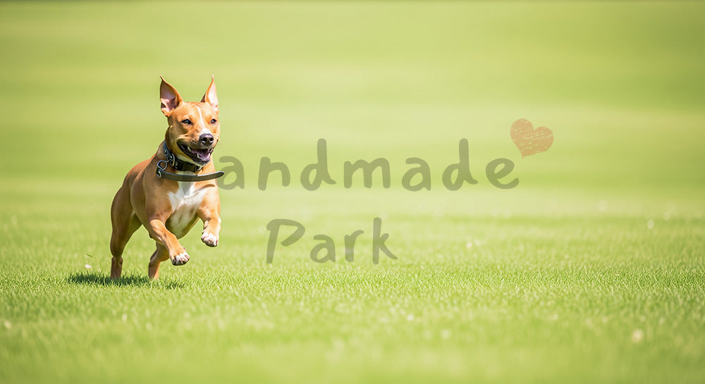 フリー素材 無料 写真｜ブログのアイキャッチ向きに使える犬のフリー素材