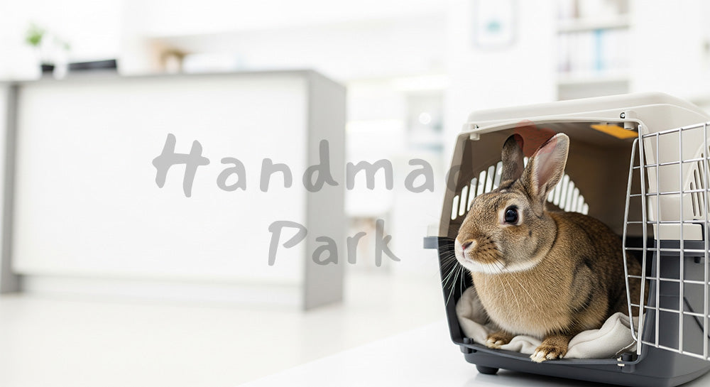フリー素材 無料 写真｜動物病院の受付で落ち着くうさぎ｜ブログのアイキャッチ向き ロゴ・文字なし
