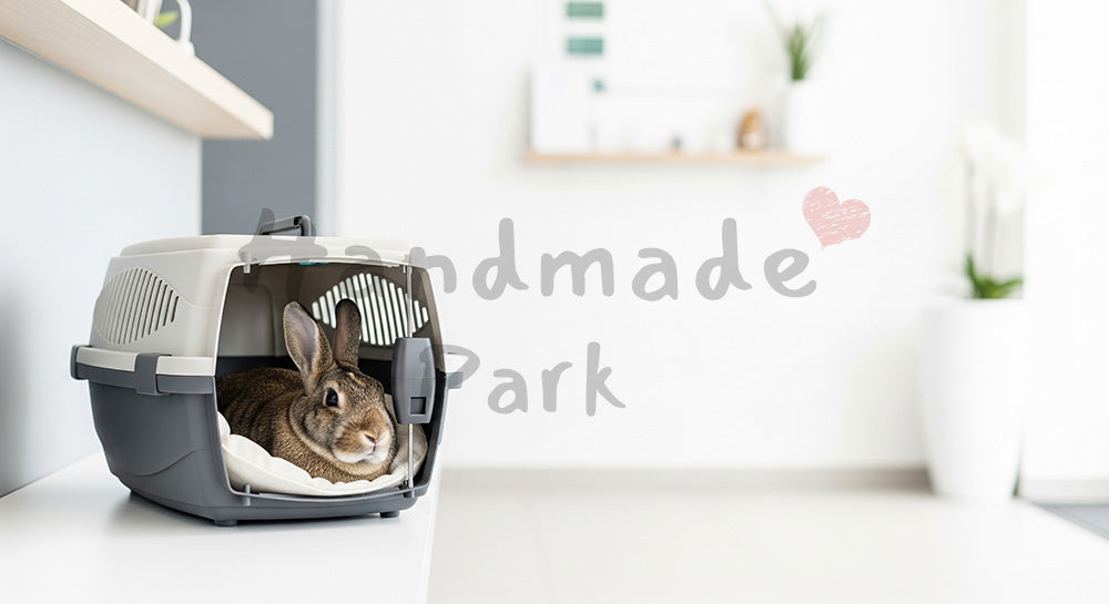 フリー素材 無料 写真｜やわらかな自然光の動物病院の受付で落ち着くうさぎ｜広告クリエイティブに使いやすい