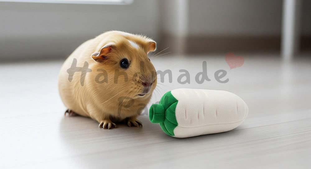 フリー素材 無料 写真｜ブログのアイキャッチ向きに使える室内で過ごすモルモットの暮らし写真
