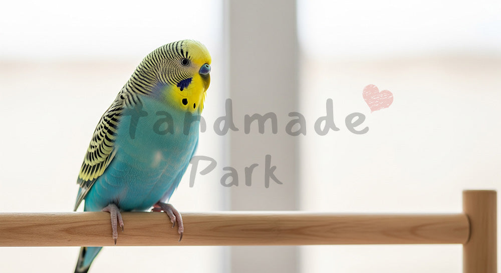 フリー素材 無料 写真｜トップページのビジュアルにに使えるセキセイインコの暮らし写真
