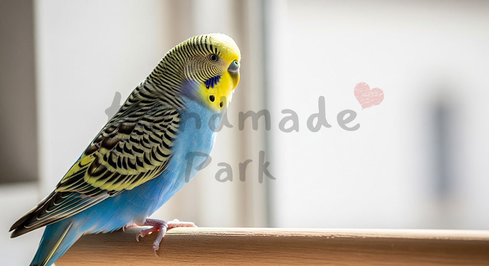 フリー素材 無料 写真｜セキセイインコがあるセキセイインコの暮らし写真｜教育・教材の挿絵に