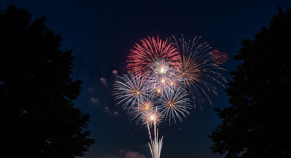 フリー素材 無料 写真｜花火を囲む木のシルエットフレーム 中央余白が広い夜空の背景素材