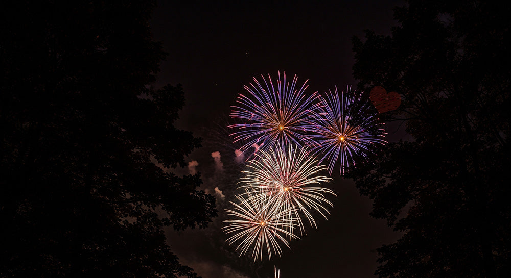 フリー素材 無料 写真｜花火を囲む木のシルエットフレーム 中央余白が大きい夜空の背景素材
