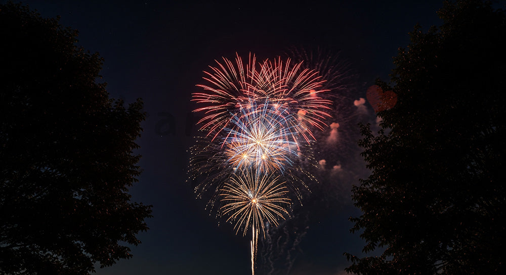 フリー素材 無料 写真｜中央余白が広い夜空の背景素材、花火を囲む木のシルエットフレームが活きる