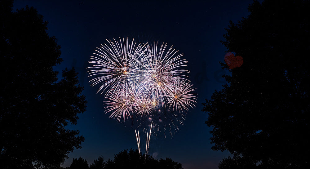 フリー素材 無料 写真｜花火を囲む木のシルエットフレーム 中央余白が広い夜空の背景素材 文字入れ向き