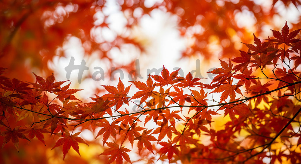 フリー素材 無料 写真｜イロハモミジの紅葉文字入れ余白｜告知バナーに使えるナチュラルな画像