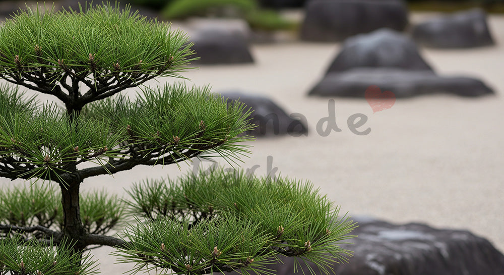 フリー素材 無料 写真｜黒松の庭木日本庭園風の余白｜商品ページに使えるナチュラルな画像