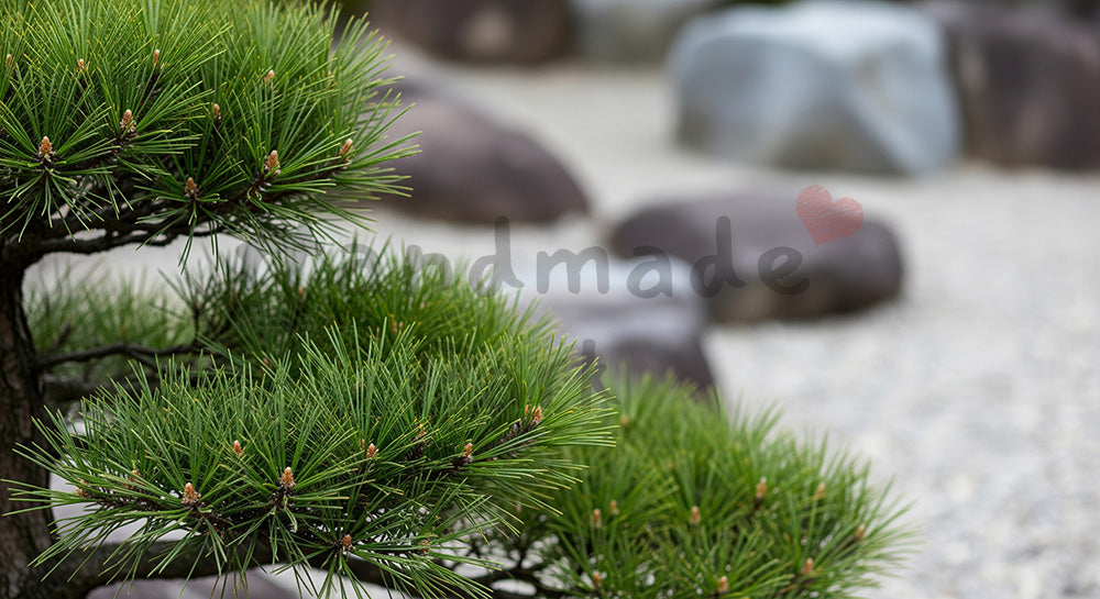 フリー素材 無料 写真｜黒松の庭木日本庭園風の余白｜告知バナーに使えるナチュラルな画像