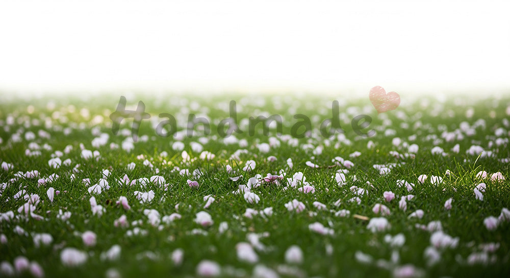フリー素材 無料 写真｜桜の花びらと芝生春の余白テクスチャ｜告知バナーに使えるナチュラルな画像