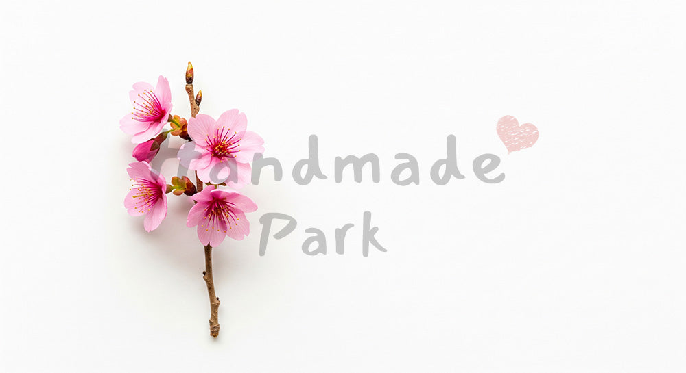 フリー素材 無料 写真|桜の単独イメージ白背景と余白|作品紹介に使えるナチュラルな画像