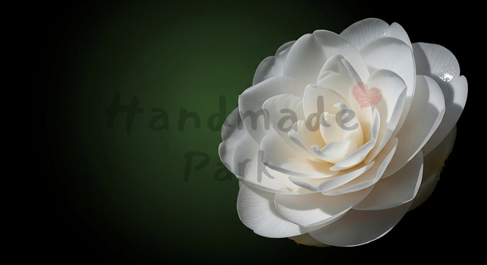 フリー素材 無料 写真｜椿の一輪和の上品さダーク背景｜SNS投稿に使えるナチュラルな画像