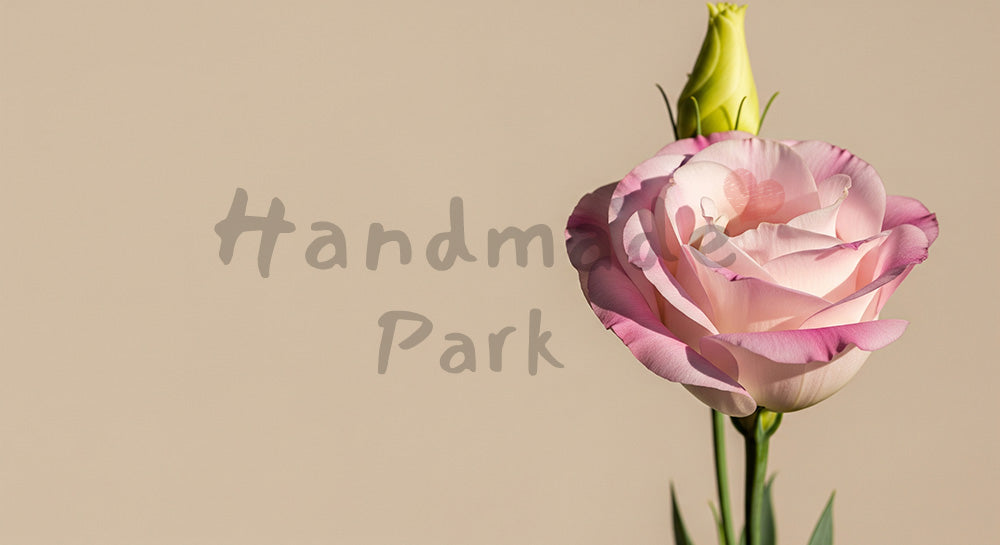 フリー素材 無料 写真｜トルコキキョウの一輪ナチュラル上品｜SNS投稿に使えるナチュラルな画像