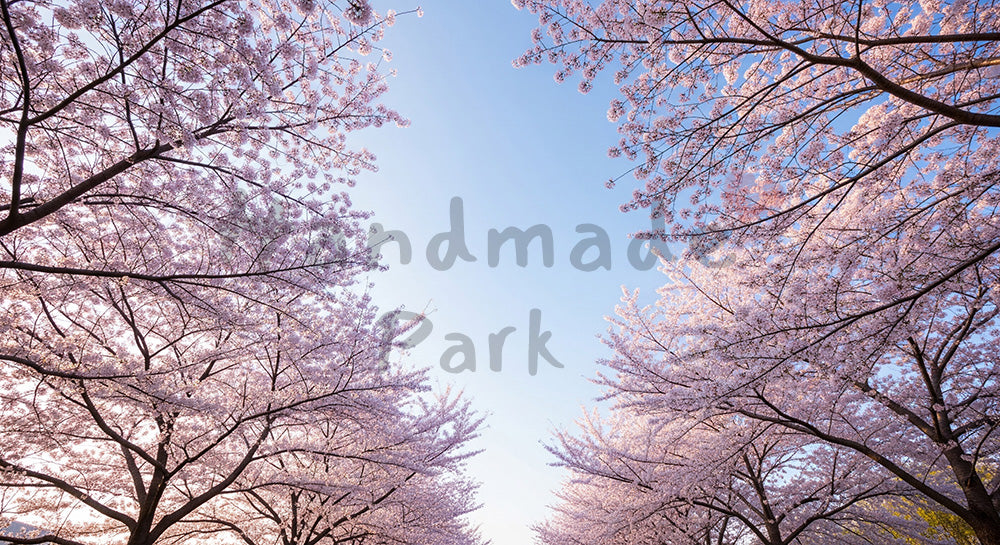 フリー素材 無料 写真｜空抜け余白の桜並木ふんわり逆光｜作品紹介に使えるナチュラルな画像