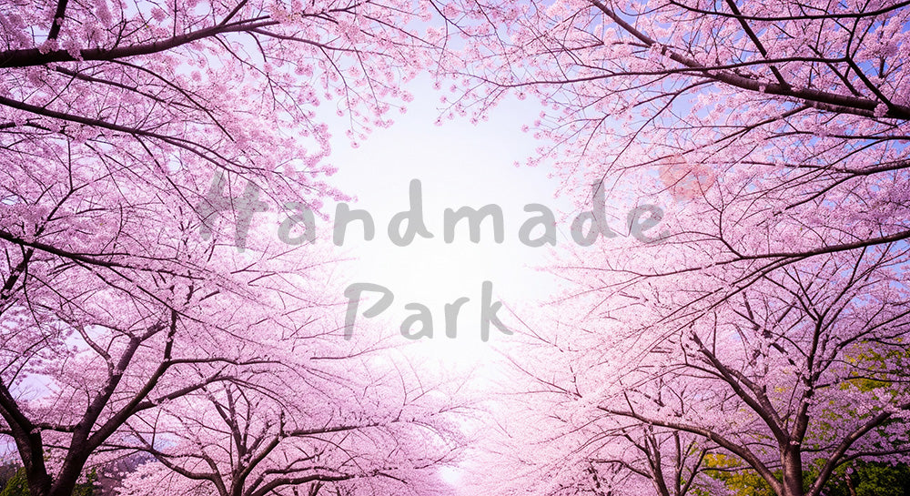 フリー素材 無料 写真｜空抜け余白の桜並木ふんわり逆光｜商品ページに使えるナチュラルな画像