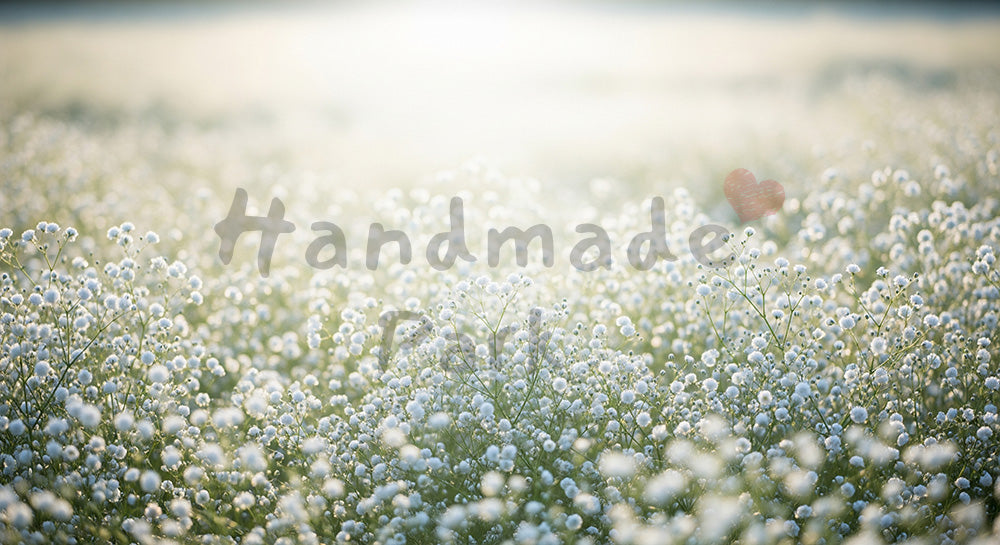 フリー素材 無料 写真｜朝の草むらに咲くかすみ草ふんわりボケ｜サムネ画像に使えるナチュラルな画像