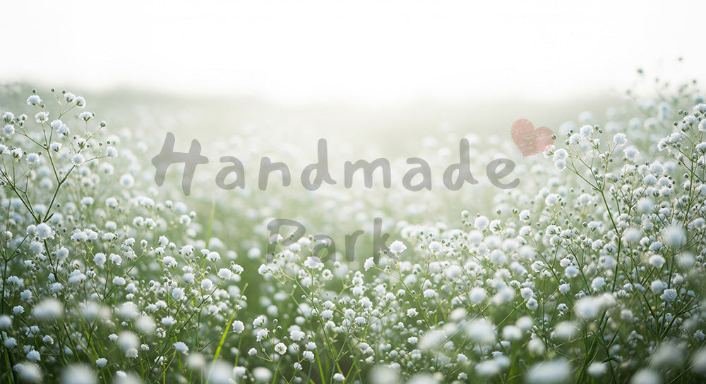 フリー素材 無料 写真｜朝の草むらに咲くかすみ草ふんわりボケ｜チラシ・POPに使えるナチュラルな画像