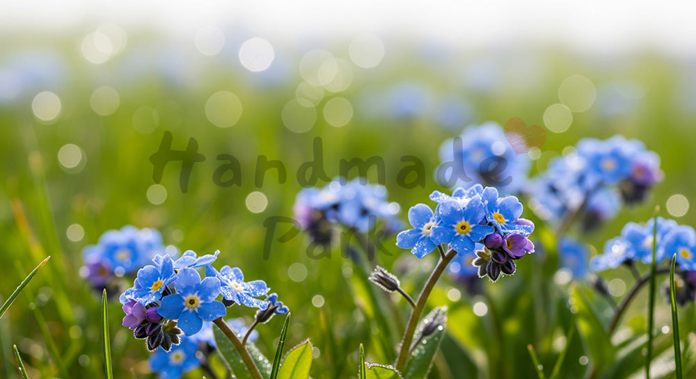 フリー素材 無料 写真｜ワスレナグサの小花群生マクロと大きなボケ｜作品紹介に使えるナチュラルな画像