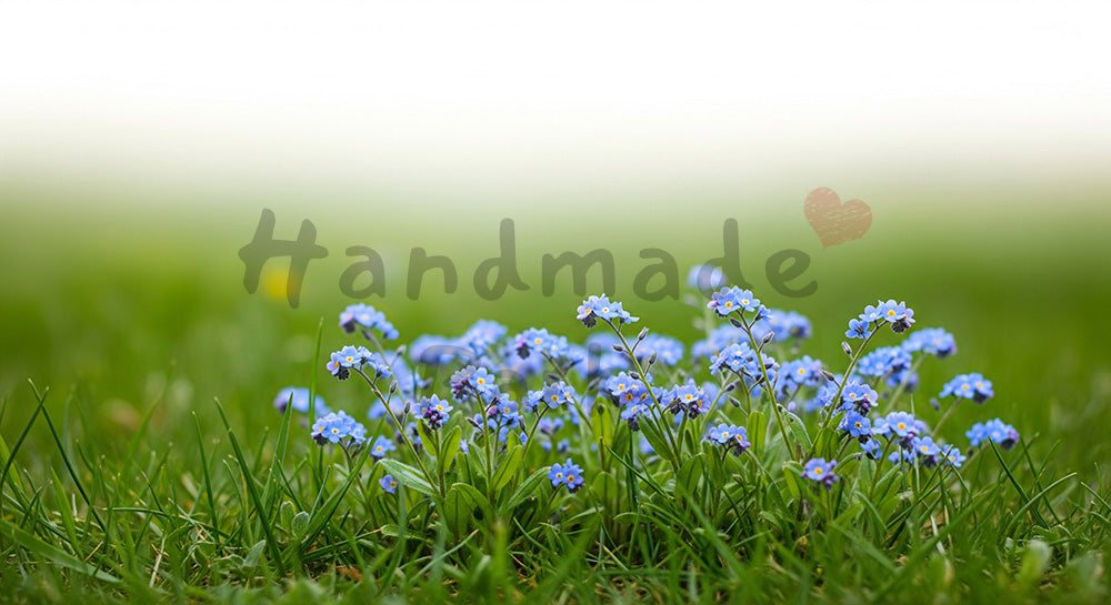 フリー素材 無料 写真｜ワスレナグサの小花群生マクロと大きなボケ｜SNS投稿に使えるナチュラルな画像