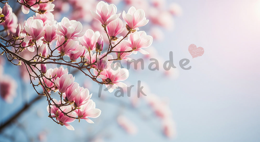 フリー素材 無料 写真｜朝光のモクレンと淡い空大きな余白｜作品紹介に使えるナチュラルな画像