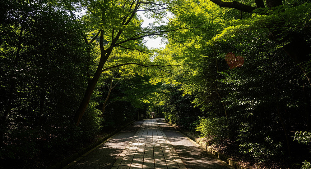 フリー素材 無料 写真｜日本の森の石畳風小道 木漏れ日と整った道が美しい資料背景向け風景｜Webデザインの挿し絵に便利