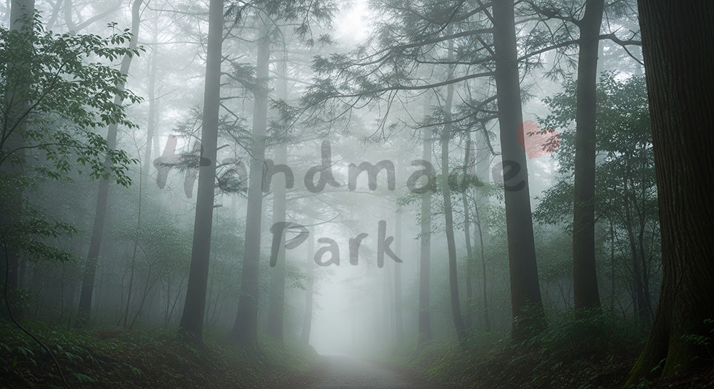 フリー素材 無料 写真｜薄霧の日本の林に続く道 実景資料にも使いやすい静かな森林風景｜文字入れしやすい自然背景