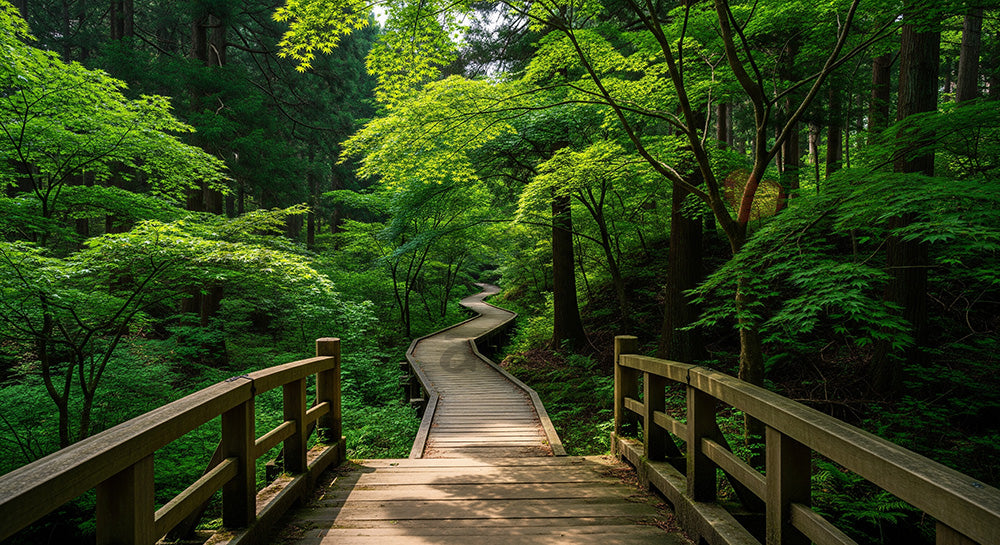 フリー素材 無料 写真｜木橋から続く日本の森の遊歩道 奥行きが美しいデザイン向け自然風景｜文字入れしやすい自然背景