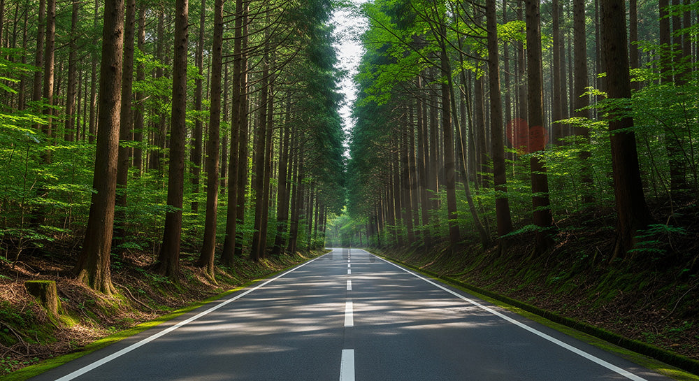 フリー素材 無料 写真｜森を縫うように続く日本の細い道路 資料にも使いやすい俯瞰の自然風景｜スライド背景として使える
