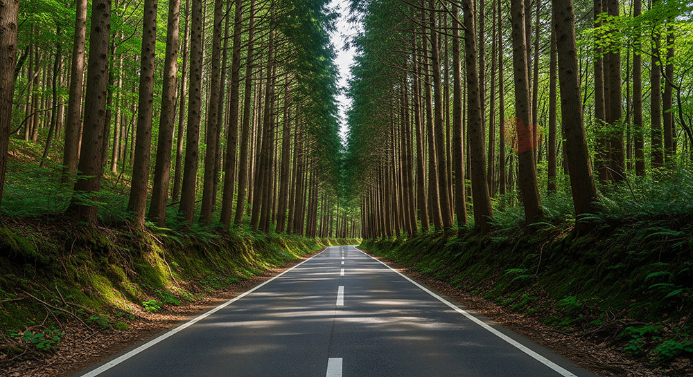フリー素材 無料 写真｜日本の森を縫うように続く日本の細い道路 資料にも使いやすい俯瞰の自然風景｜文字入れしやすい自然背景
