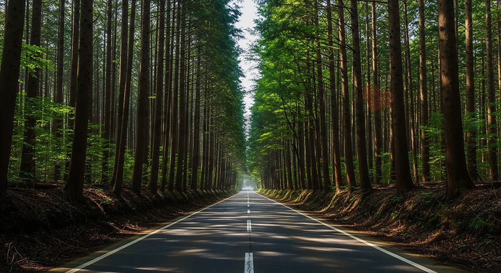 フリー素材 無料 写真｜森を縫うように続く日本の細い道路 資料にも使いやすい俯瞰の自然風景｜資料・LPの背景に使いやすい